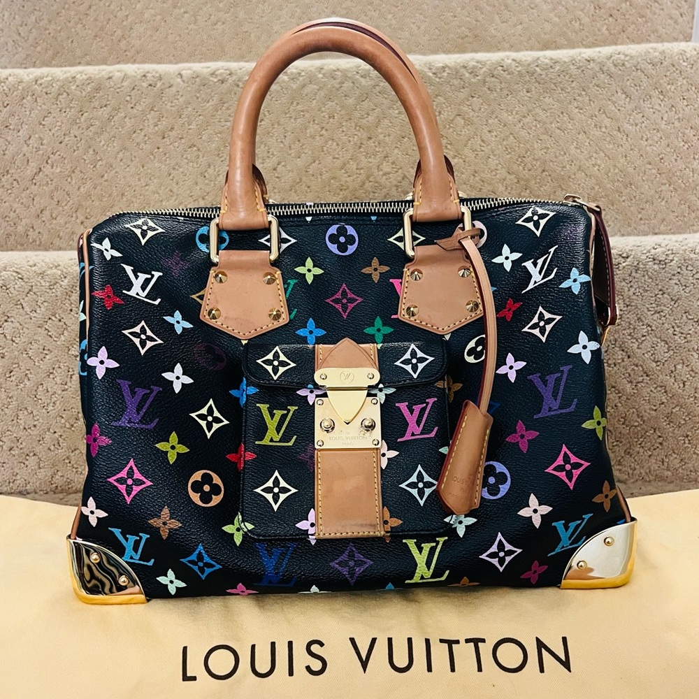 Louis Vuitton multicolor speedy black